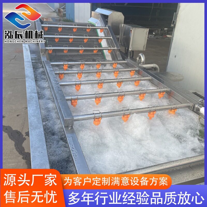 山野菜鼓泡式果蔬清洗机 全自动小芹菜净菜清洗线 黄豆芽清洗机