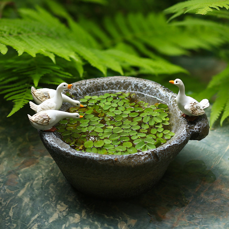 创意铜钱草水培小白鸭花盆摆件