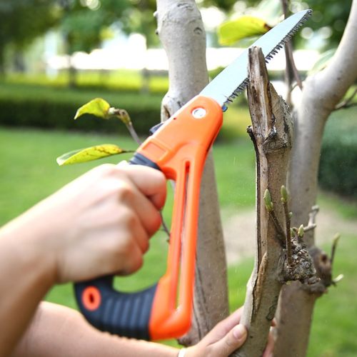 伐木手板锯木工锯 手工锯子手锯 折叠锯 护手锯园艺园林锯 树枝锯