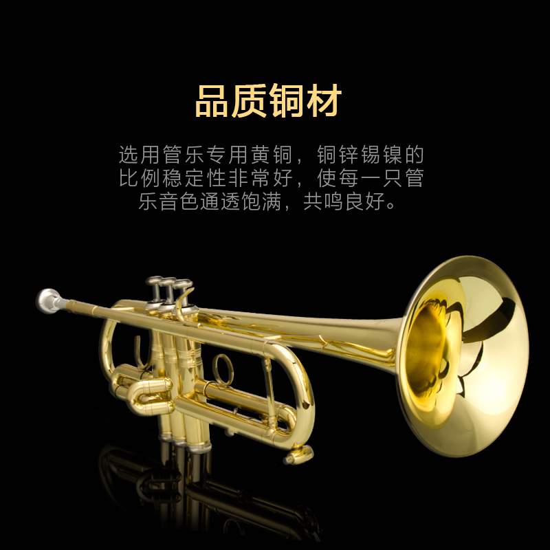 爵士朗小号乐器初学者演奏级儿童成人降B调漆金PTR-050