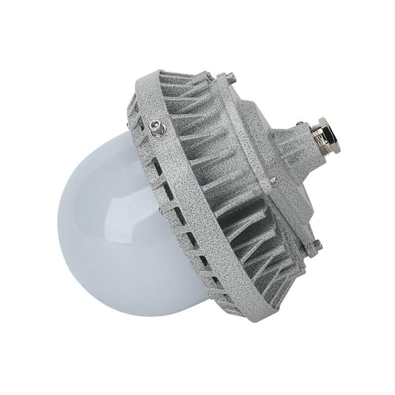 BDL系列免维护防爆投光灯泛光灯50W60W 防爆照明灯 加油站