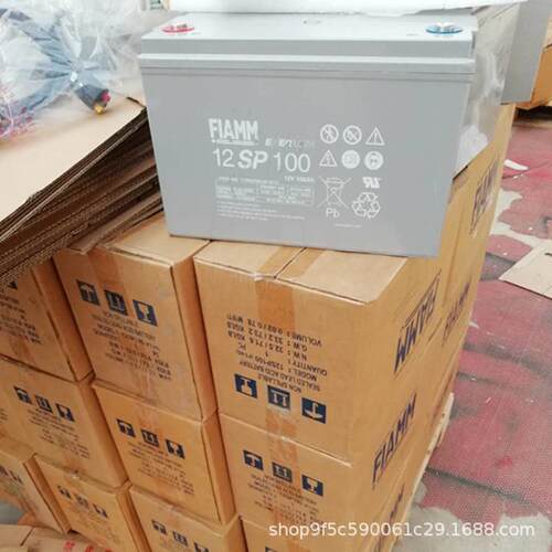 非凡蓄电池12SP100/12V100AH基站通信系统太阳能风能发电系统
