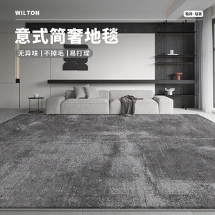 感地毯客厅家用极简沙发北欧卧室免打理轻奢 高级2024地垫茶几新款