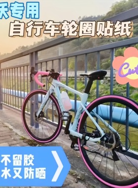 适用JAVA佳沃公路自行车轮毂装饰贴纸改色鱼雷6top御夫座火6/idra