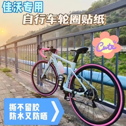 适用JAVA佳沃公路自行车轮毂装饰贴纸改色鱼雷6top御夫座火6/idra