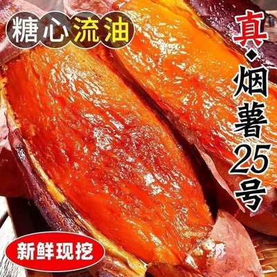 烟薯25号糖心红薯蜜薯新鲜番薯农家沙地超甜地瓜产地直发烤红薯
