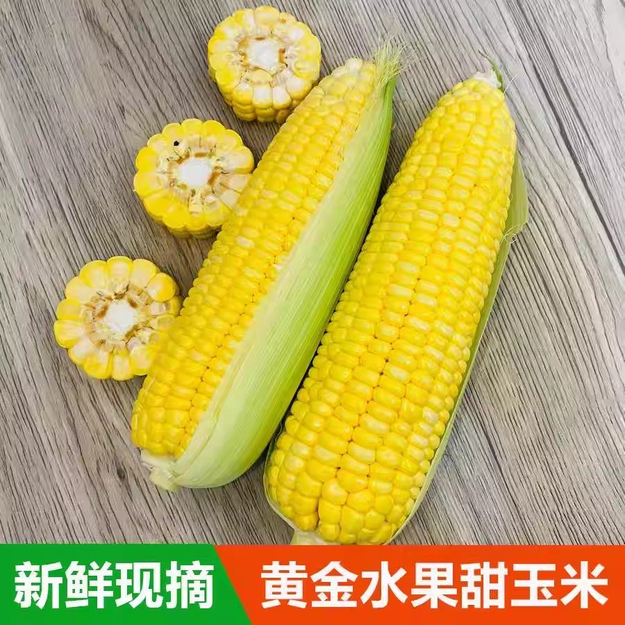 新鲜玉米带皮现摘水果玉米香甜爆浆蒸煮可生吃钓鱼云南黄金甜玉米,水产肉类/新鲜蔬果/熟食,新鲜玉米,淘宝优惠券,粉丝福利购,淘宝优惠卷