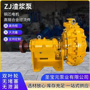 渣浆泵ZJ高铬合金泥浆吸沙泵船用电驱动吸沙泥浆泵水泵 卧式