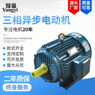 Y132M-8极3W三相异步电动机低速马达B35全铜线圈卧式
