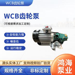 WCB齿轮泵便携手提式齿轮泵油泵不锈钢抽油防爆柴汽油自吸手提泵
