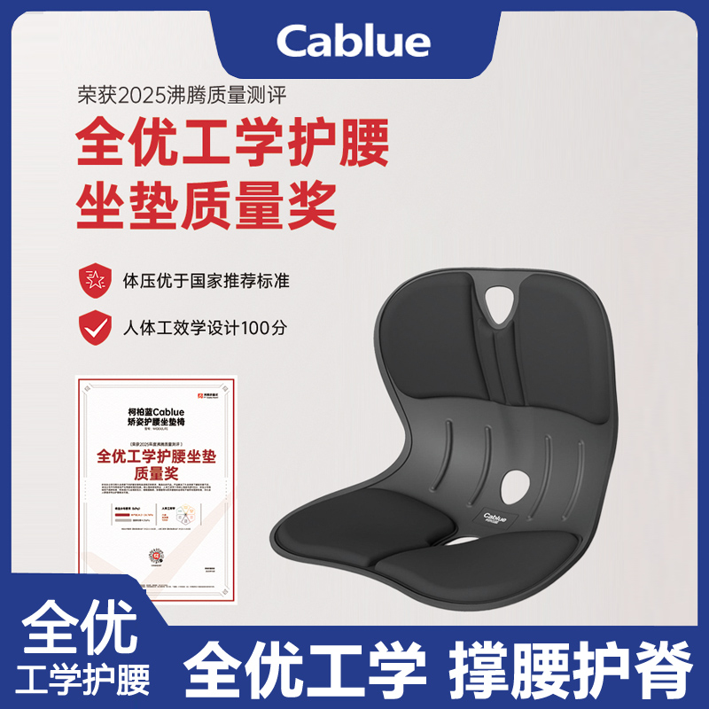 【全优工学】柯柏蓝全优护腰坐垫