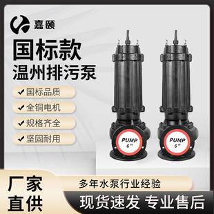 温州款排污泵15KW化粪池无堵塞高扬程大流量抽水潜污泵工程潜水泵