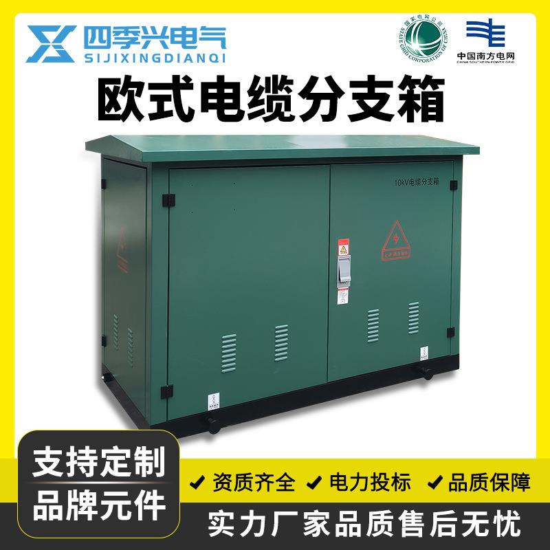 10KV电缆分支箱高压DFW-12/630一进一二三四出户外35KV欧式分接箱