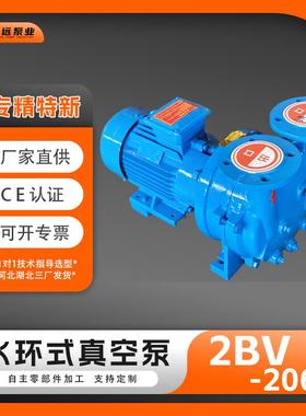 供应2BV2061水环式真空泵铸铁304造纸矿山工业用抽真空负压泵