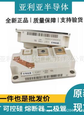 BSM300GA120DN2SE3256BSM400GA120DN2FS-E3256BSM400GA120DN2S