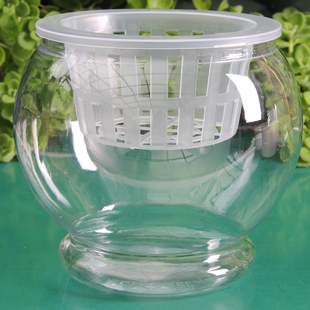 全新塑料透明水培瓶富贵竹绿萝红掌办公室绿植容器红掌花盆高透