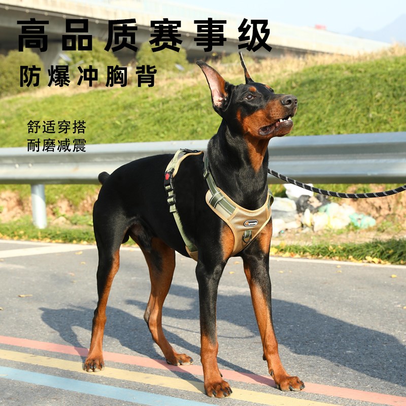 中大型犬狗狗牵引绳防爆冲夜间反光柴犬柯基遛狗绳子背心式胸背带