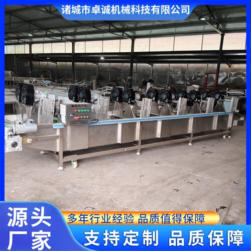 全自动果蔬加工成套设备 气泡清洗机 翻转风干机