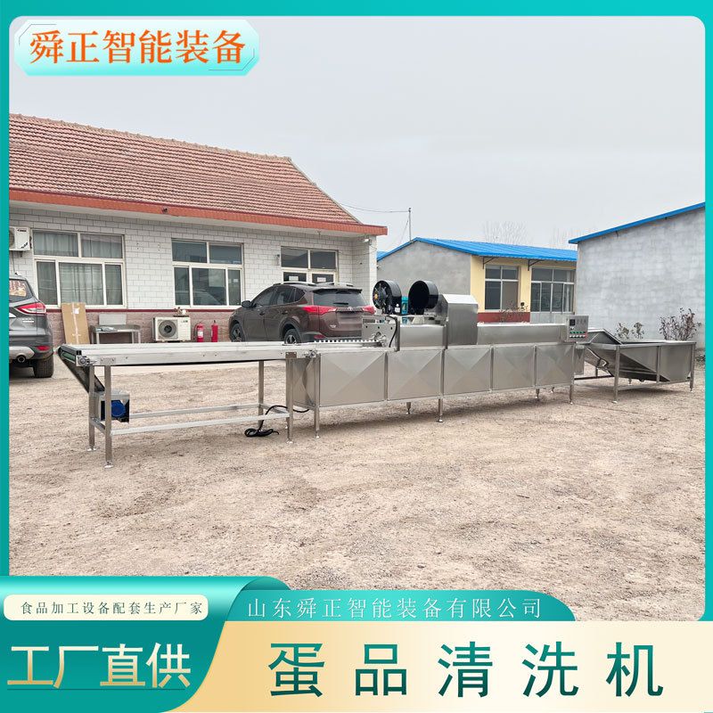 诸城鸡蛋鸭蛋清洗机 单排保洁蛋清洗设备 鸡蛋清洗光检喷码一体机