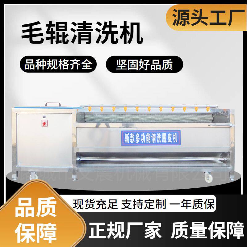 红薯土豆清洗去皮机器 高压毛辊清洗机 平板毛辊清洗机果蔬清洗机