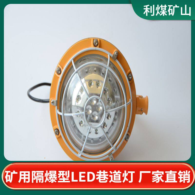 利煤DGS18/127L矿用隔爆型LED巷道灯感应灯 18-50W巷道灯