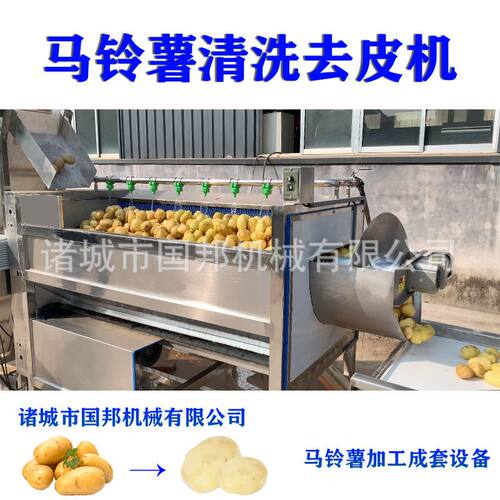 全自动土豆去皮机 商用马铃薯毛刷清洗去皮机 多种规格