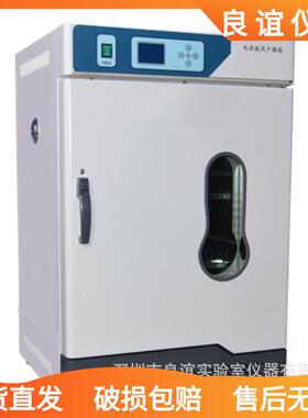 供应电热鼓风干燥箱DHG-9245AE实验室用恒温烤箱内胆304不锈钢