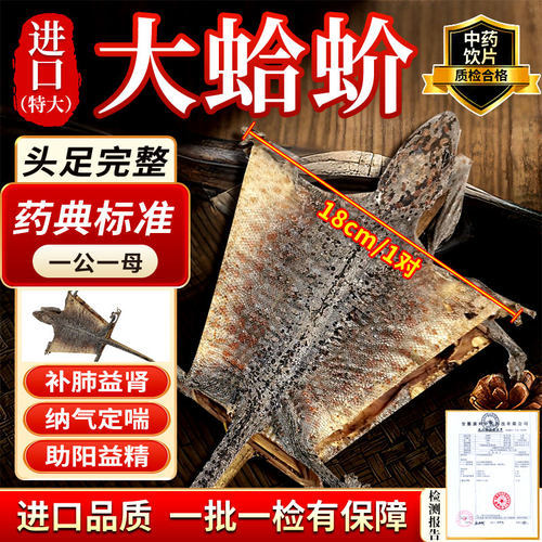 进口蛤蚧一对特大蛤蚧药材干正品