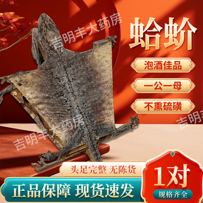 特大蛤蚧玉林中药材干货补血益气