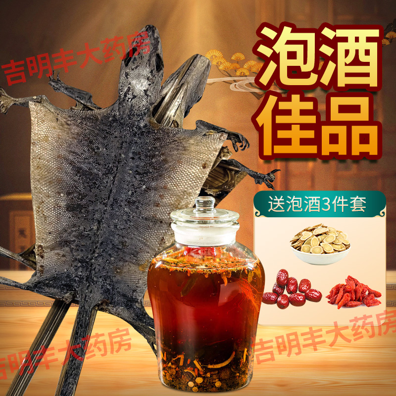 正品大蛤蚧公母一对补血益气
