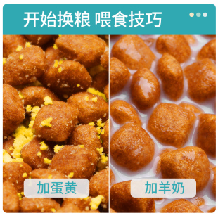 耀目 约克夏狗粮幼犬成犬小型犬专用粮去泪痕美毛补钙天然粮4斤