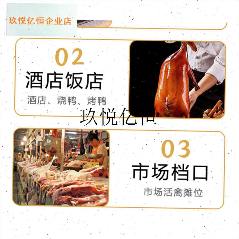 拔毛神器鸡毛鸭毛电动去杀鸭鹅B家禽脱毛机拔毛机拨鸭毛家商用,