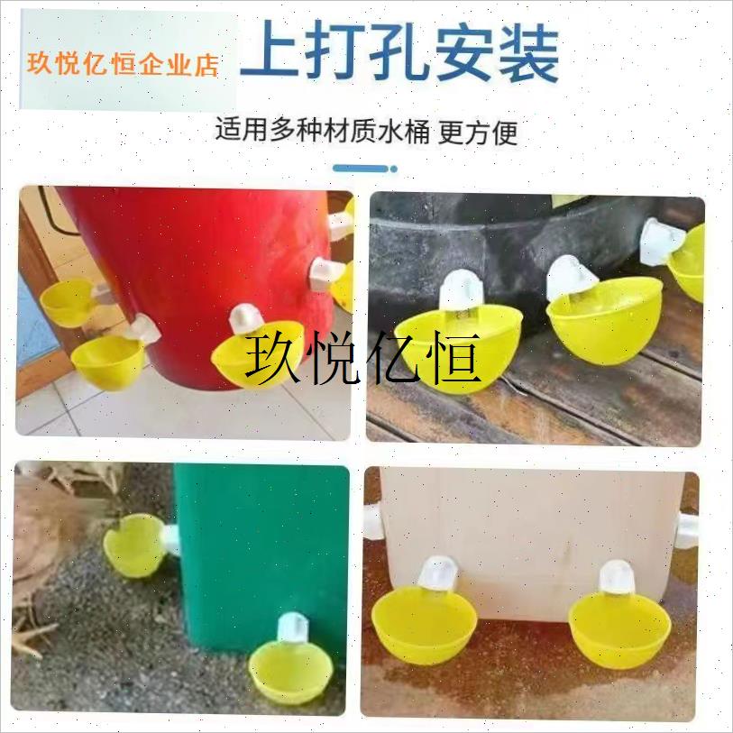 大号自动饮水器鸡鸭鹅饮水碗鸽子D鹌鹑喂喝水碗家禽鸡用自动饮水,