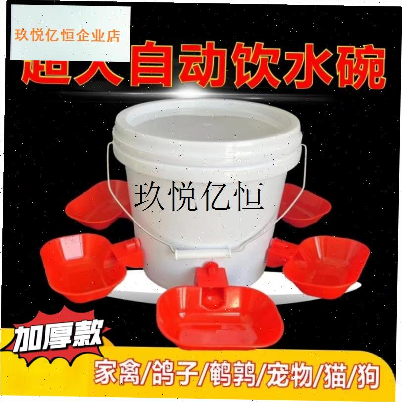 新款大号家禽鸽子专用自动饮水器鸡鸭鹅喂食器喂鸡X碗养鸡宠物喝,