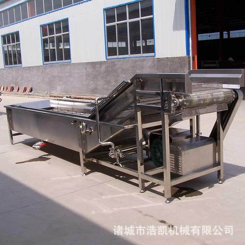 全自动果蔬气泡清洗机全自动蔬菜高压喷淋清洗设备水果清洗机