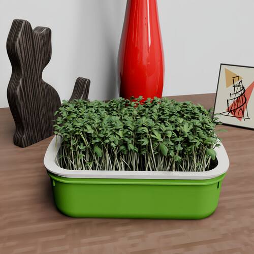 育苗盘豆芽发芽专用盆水培盒芽苗菜豌豆苗神器塑料托盘食物收纳盒