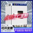 厂家直销电热恒温鼓风干燥箱烘干机小型高温工业用烤箱商用实验室