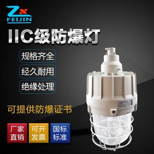 IIC级防爆灯BAD81防爆防水防尘灯原厂直销支持混批