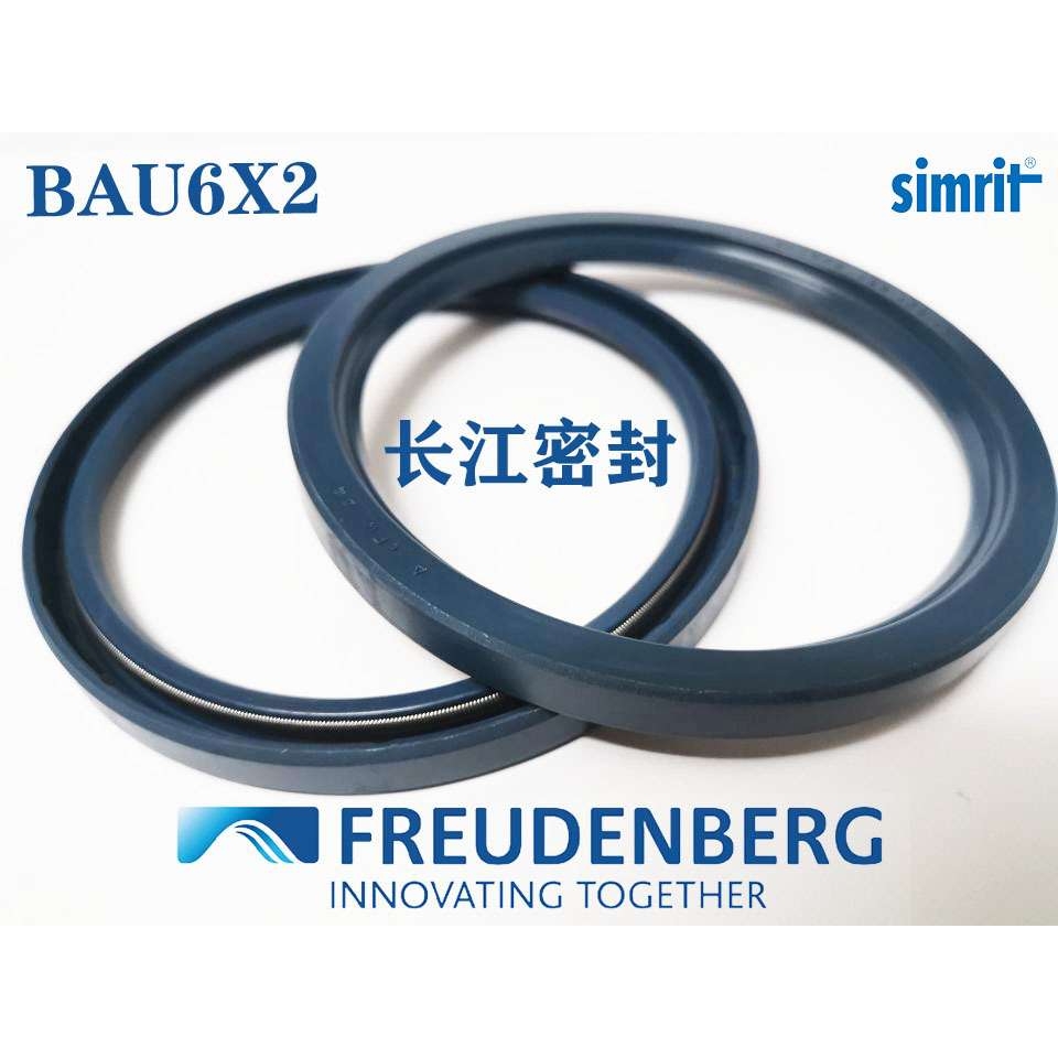 德国进口CFW骨架油封BAU6X2 110-140-12 simrit 单唇骨架油封