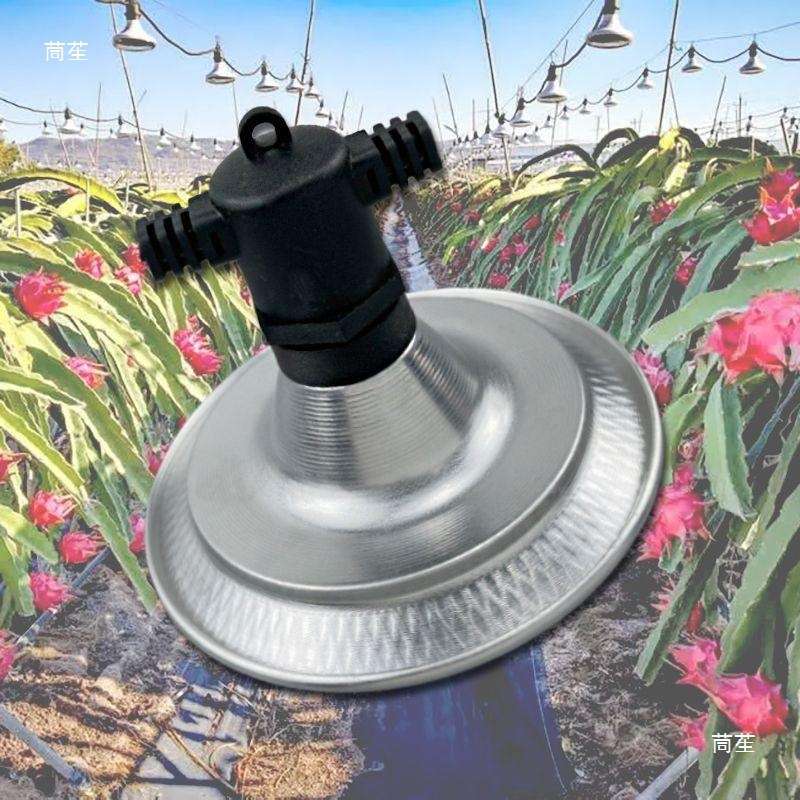 火龙果养殖灯线一体led植物生长补光灯光谱鲜菊花百香果农业大棚
