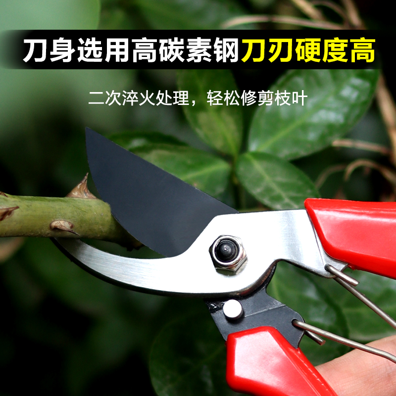 园艺修枝剪家用果树剪修花修枝花艺剪刀细枝剪盆景造型花剪子工具