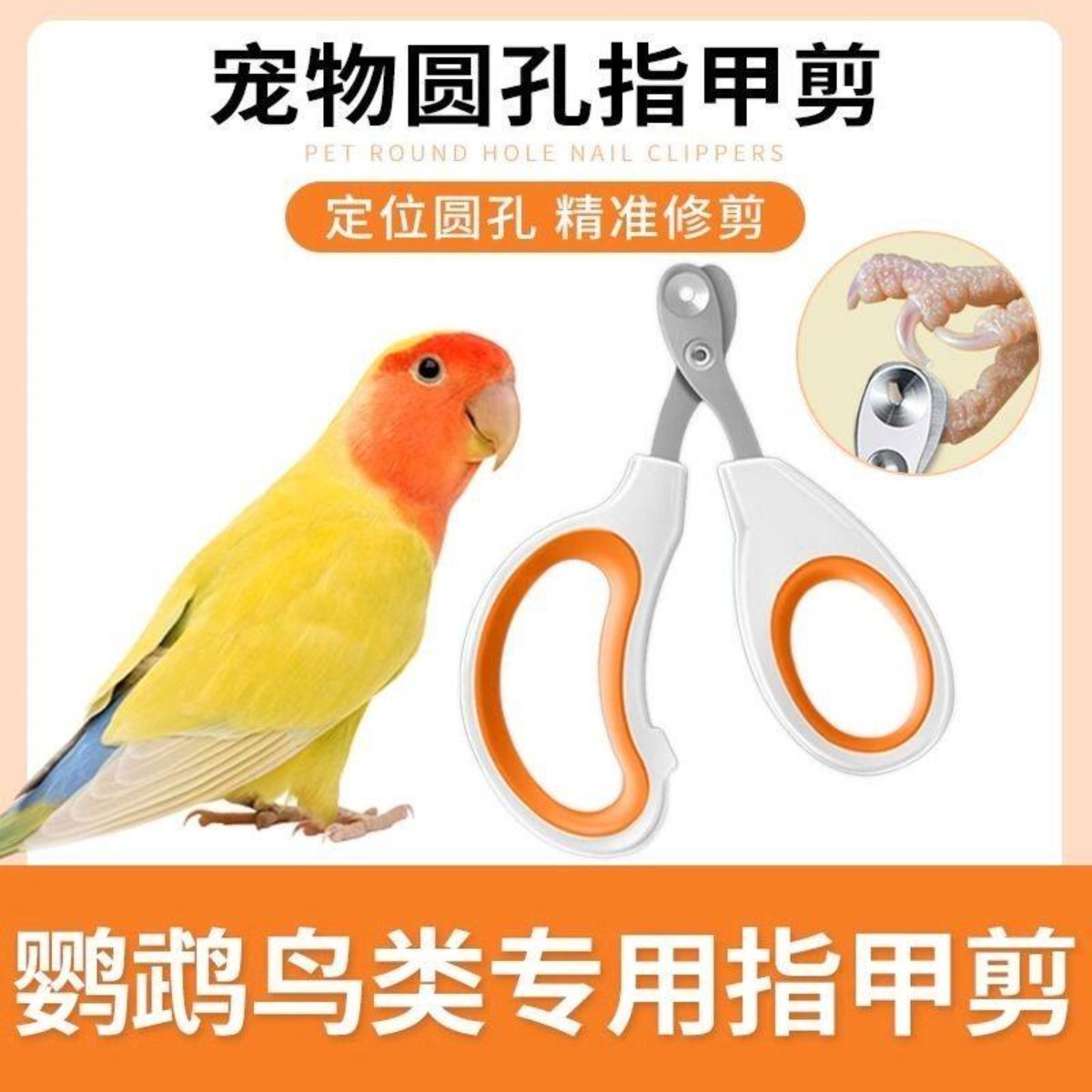 鹦鹉专用指甲剪爪子鸟用指甲剪新手磨甲器虎皮玄凤牡丹鸟猫咪用品