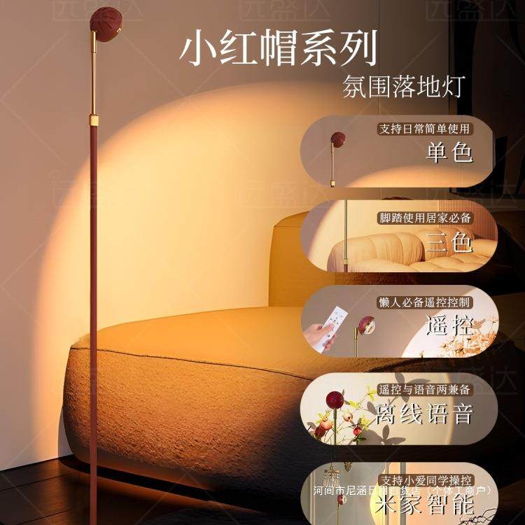 小红帽落地灯客厅沙发台灯卧室装饰氛围灯轻奢时尚网红
