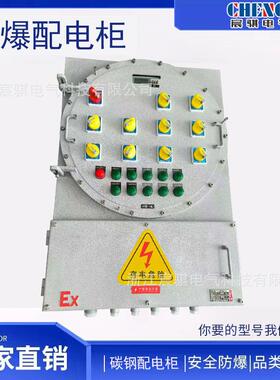 厂供应IIC防爆配电箱焊接双门防爆控制配电箱铝合金电源隔爆箱
