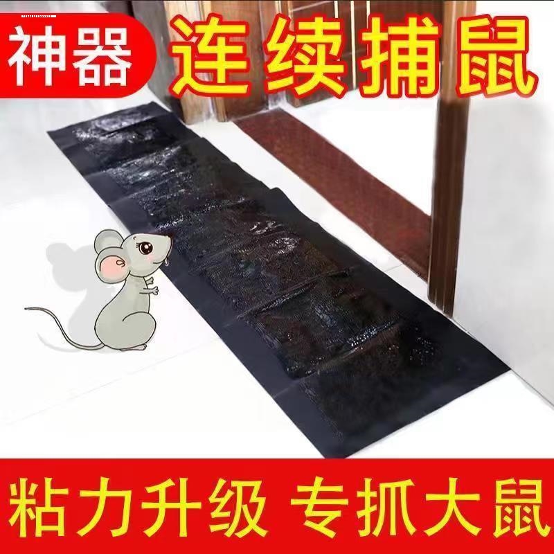 因为专注,所以专业!