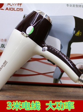 包邮国宏风神9948吹风机发廊专用大功率2400W理发店家用电吹风筒