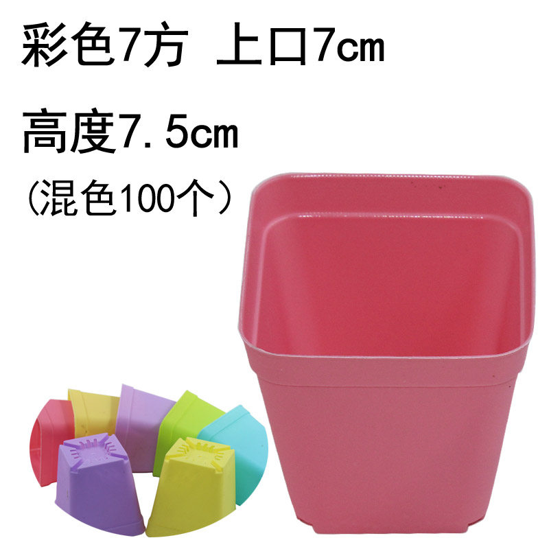 塑料方盆5方7方10cm黑方育苗花盆多肉植物叶插加厚款老桩种植播种