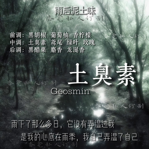 【土臭素】还原雨后泥土气/小众梦核氛围香氛喷雾/香龛私人定制