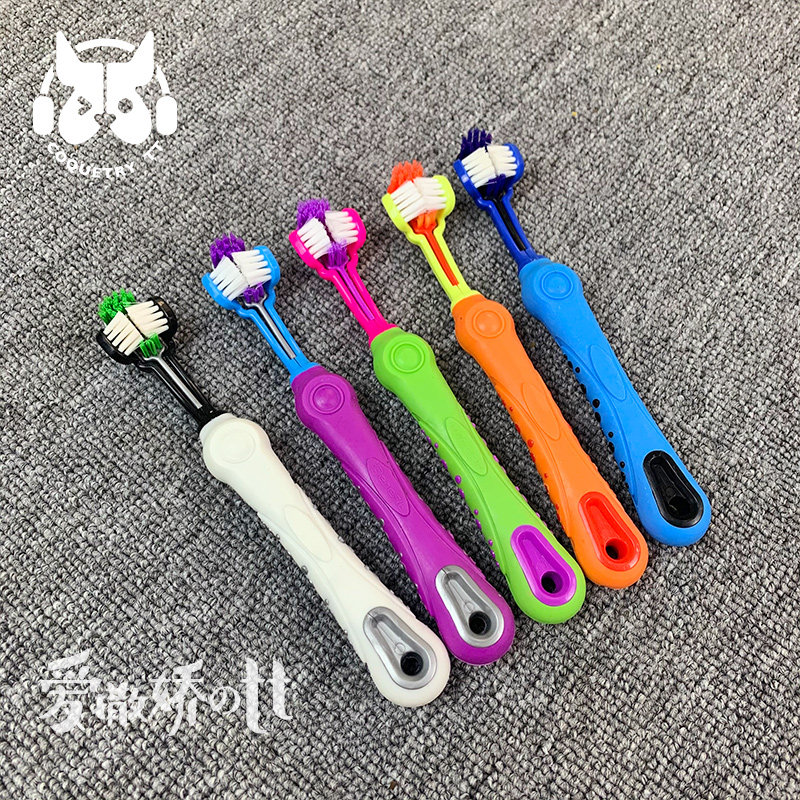 TT宠物牙刷宠物专用三头牙刷法斗多角度牙刷泰迪柴犬猫咪牙刷A+版