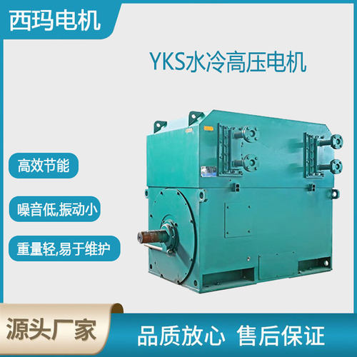 西安泰富西玛电机YKS-800-4极5000KW 10KV高压交流三相异步电动机